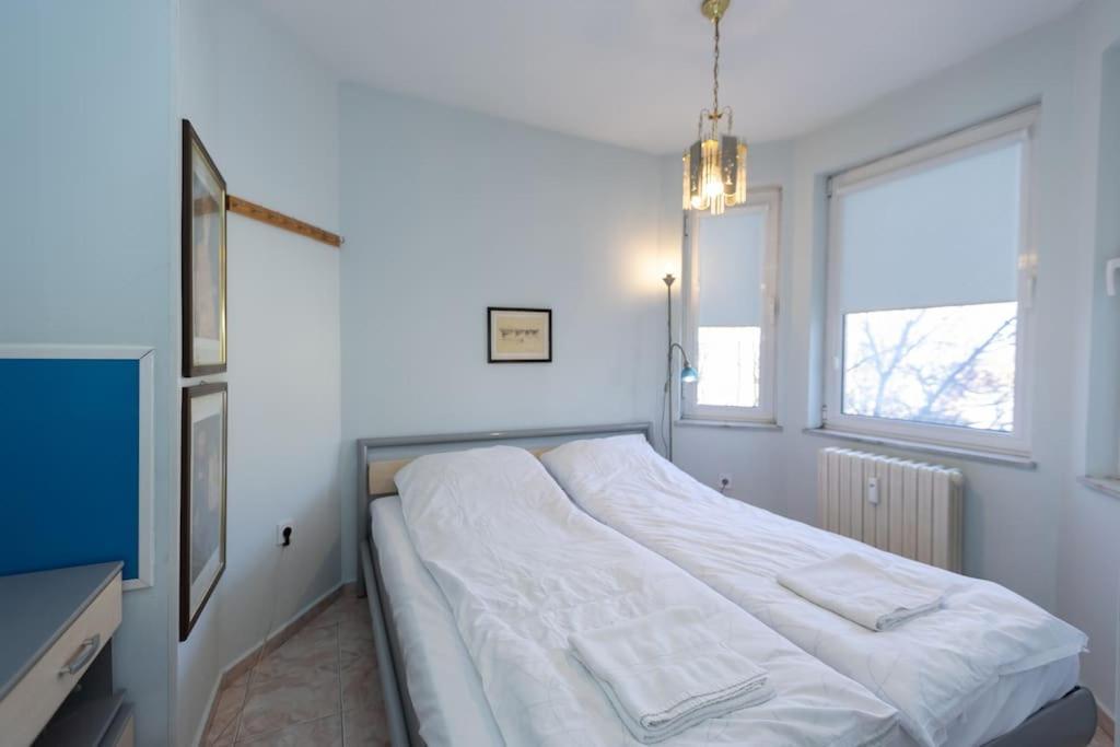 Apartment Sunny & Convenient On Dondoukov Blvd, 1 Bdr Zaimov *